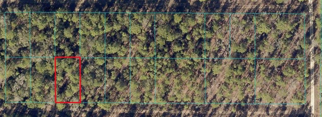 Tbd Tbd 15th Street Southwest Ocala, FL 34481 - Photo 1 of 1 a view of a yard with plants and wooden fence