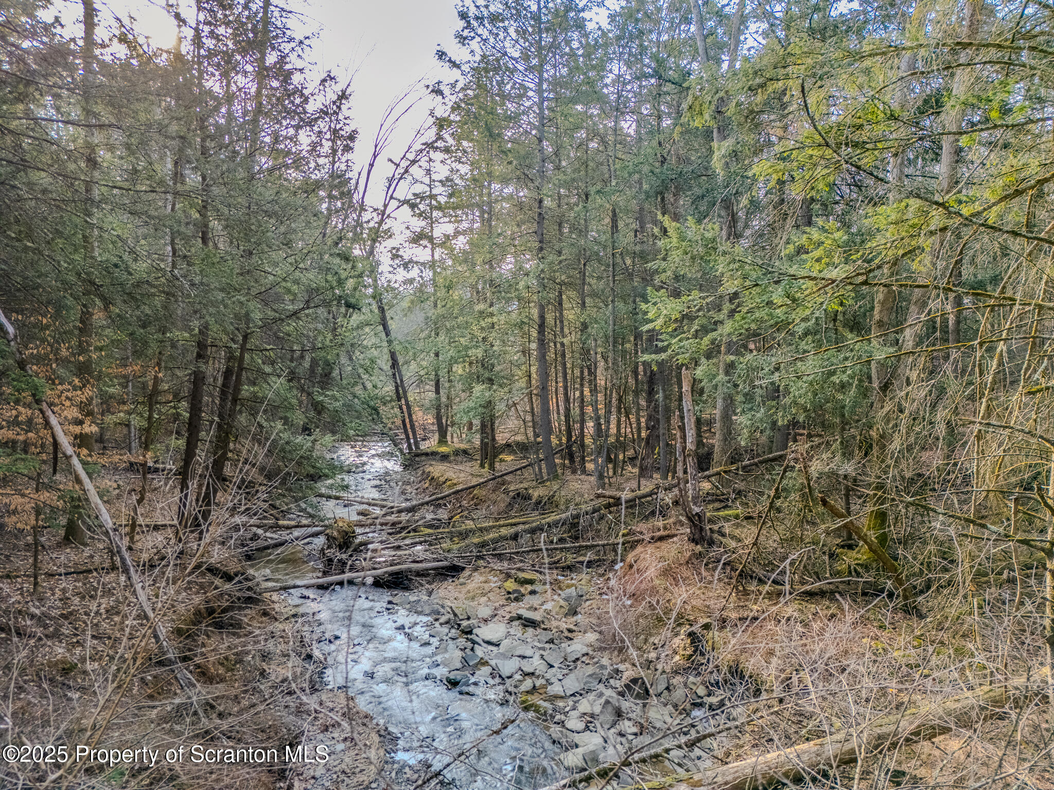 238 Blake Road Friendsville, PA 18818 - Photo 17 of 22 a view of a forest with trees