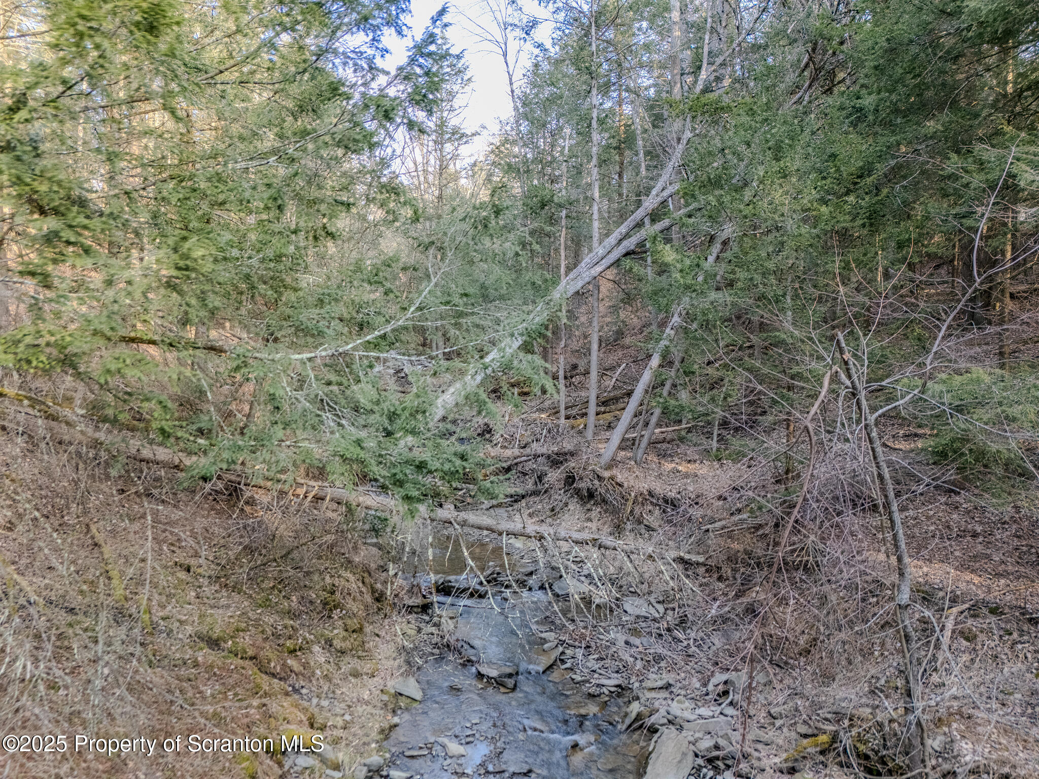 238 Blake Road Friendsville, PA 18818 - Photo 18 of 22 a view of a forest with trees in the background
