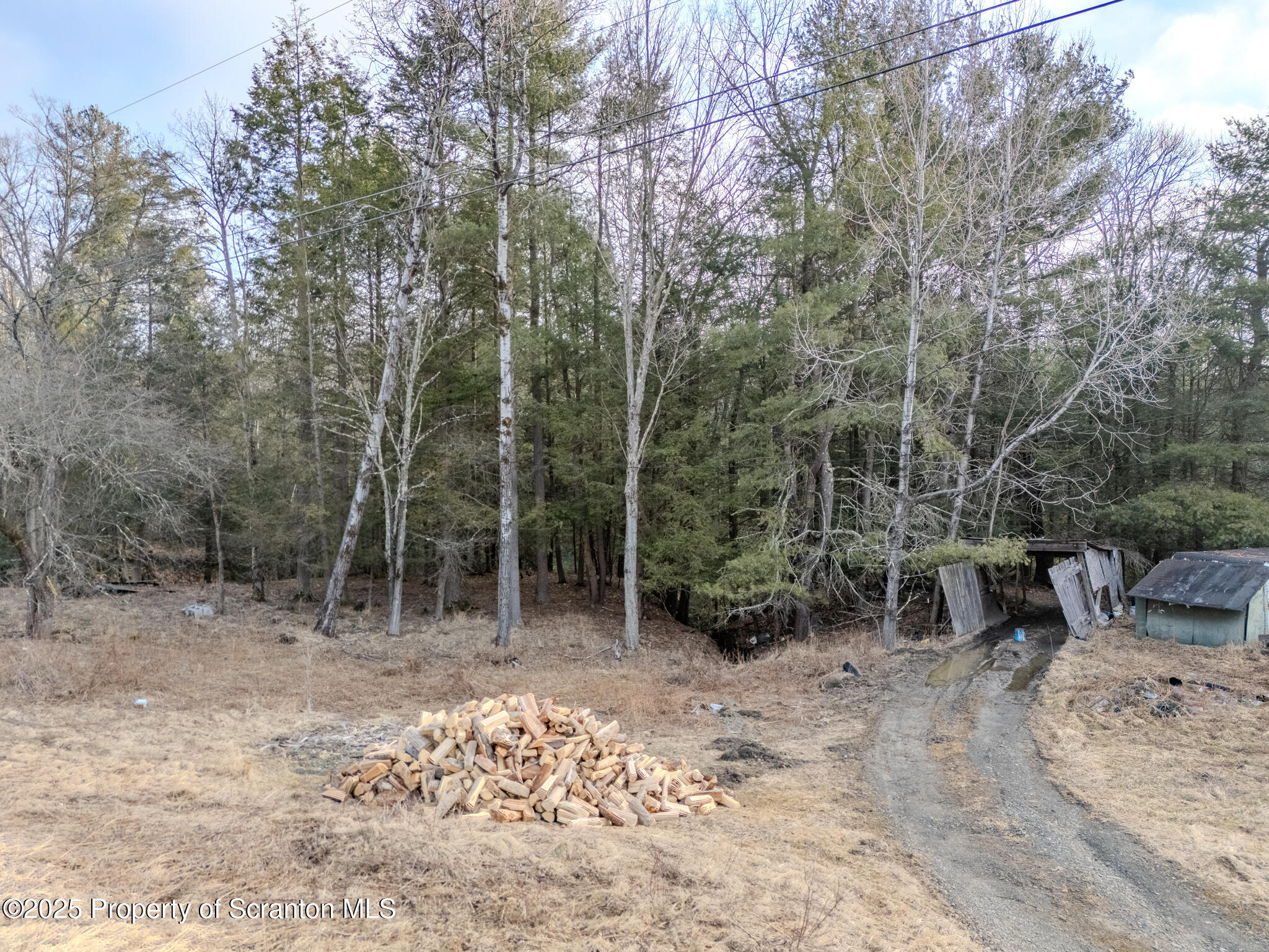238 Blake Road Friendsville, PA 18818 - Photo 20 of 22 a view of outdoor space yard and patio