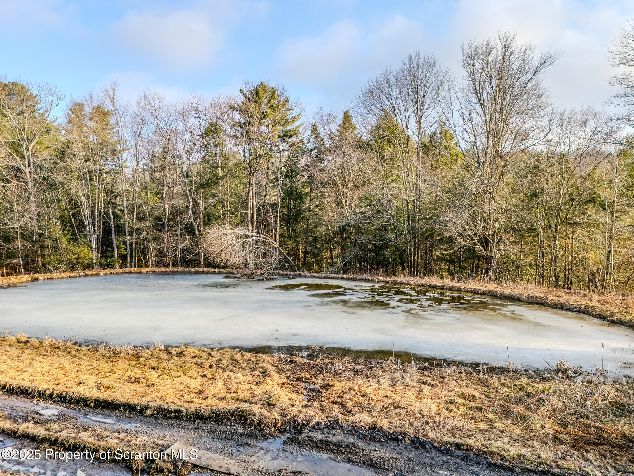 238 Blake Road Friendsville, PA 18818 - Photo 2 of 22 a view of a yard with wooden fence