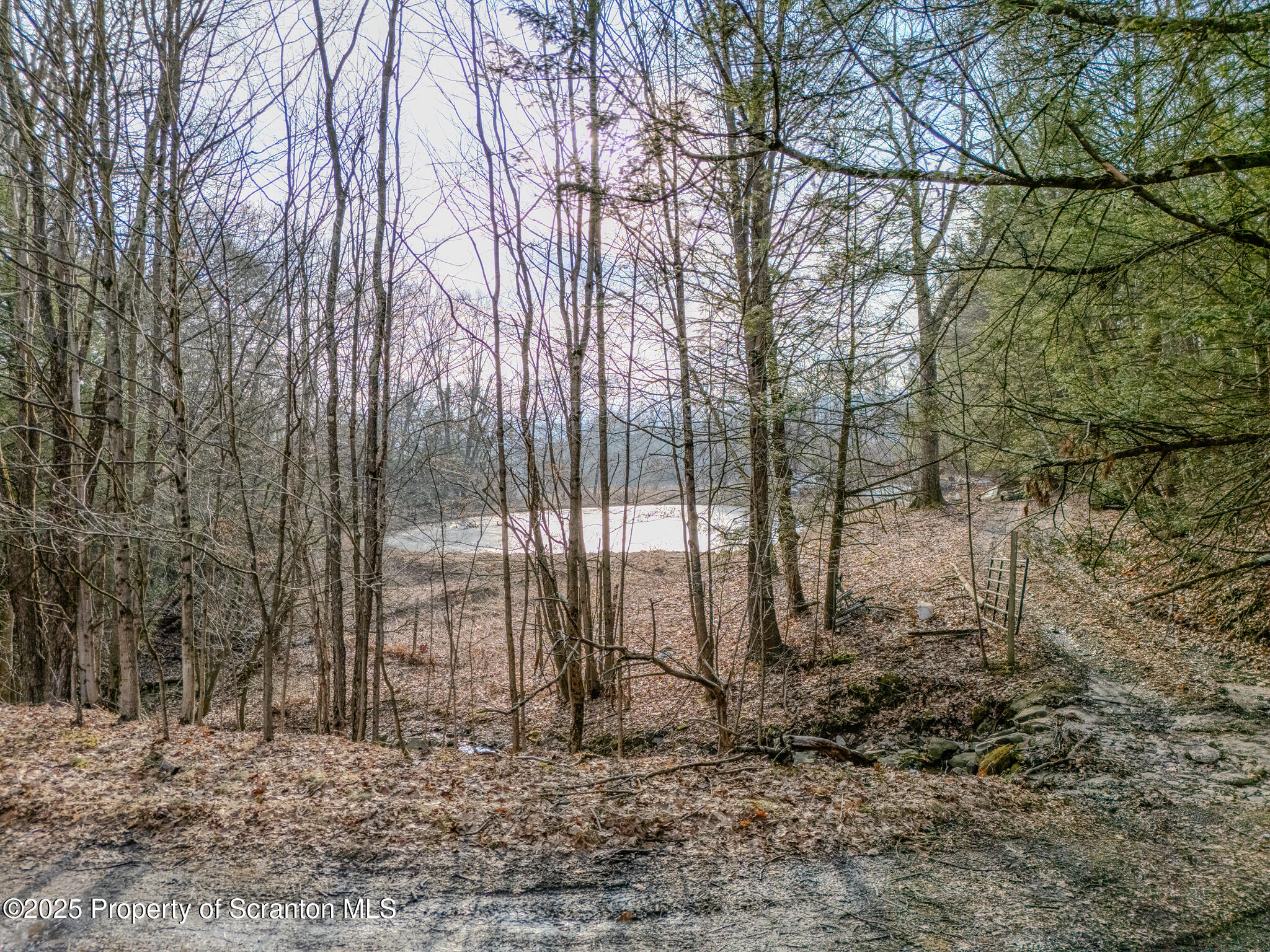 238 Blake Road Friendsville, PA 18818 - Photo 9 of 22