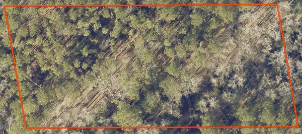 $250,000 | 0 Dent Road, Appling, GA 30802