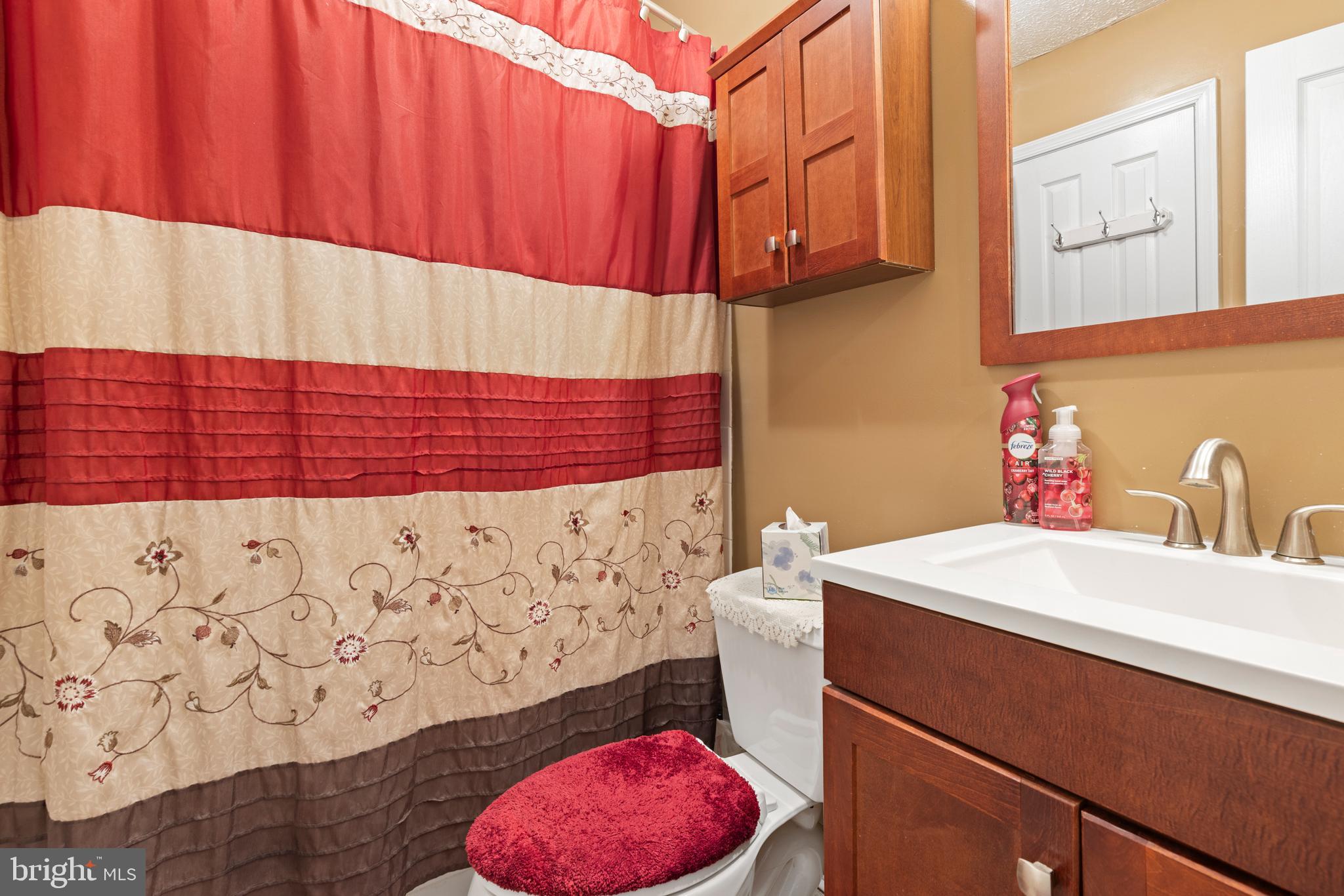 3916 Hunt Harbor Road Baltimore, MD 21220 - Photo 17 of 30 a bathroom with a sink and a mirror
