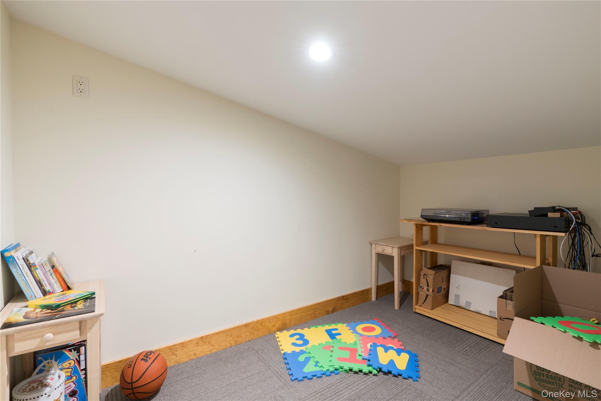 105 Iron Mountain Road Warwick, NY 10990 - Photo 45 of 49 Small Bonus Room off 2nd Floor Loft Area