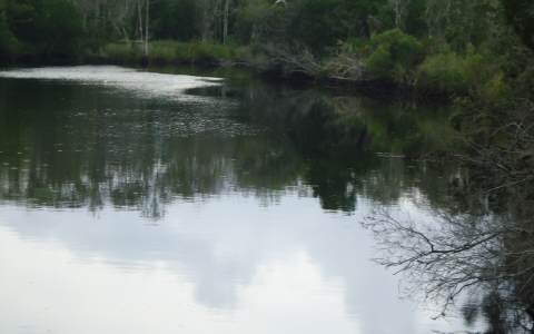 86325 Meadowfield Bluffs Road Yulee, FL 32097 - Photo 14 of 24 Gallery Image 14