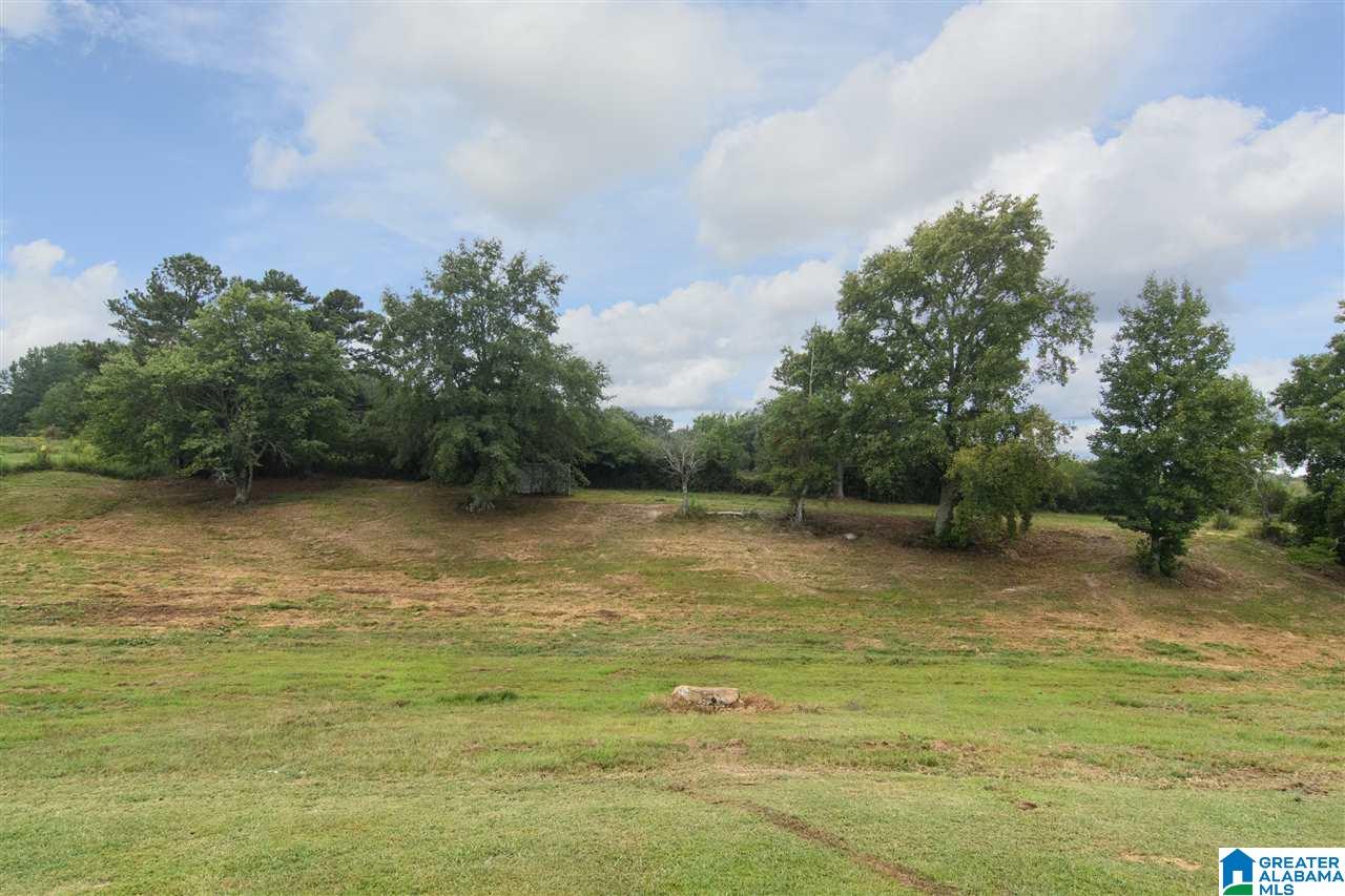 46559 Highway 231 Oneonta, AL 35121 - Photo 33 of 39