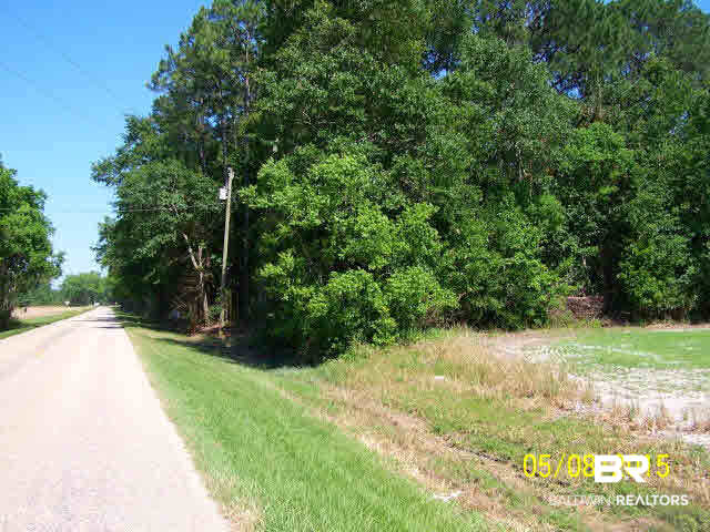 24 South Juniper Street Foley, AL 36535 - Photo 1 of 3