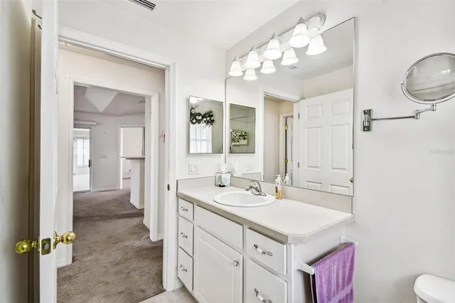 a bathroom with a sink vanity and a mirror