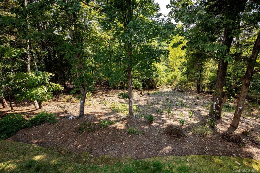 669 Reliance Court Tega Cay, SC 29708 - Photo 22 of 24 a view of a yard with plants and trees