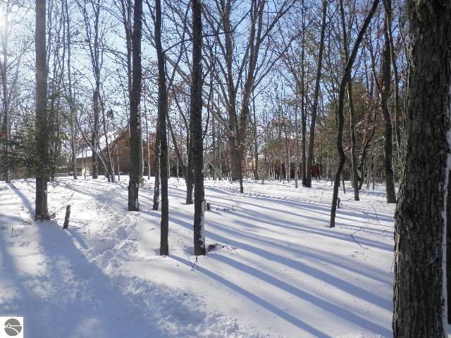 11784 North Amber Road Manistee, MI 49660 - Photo 25 of 30 1795381-24.JPG