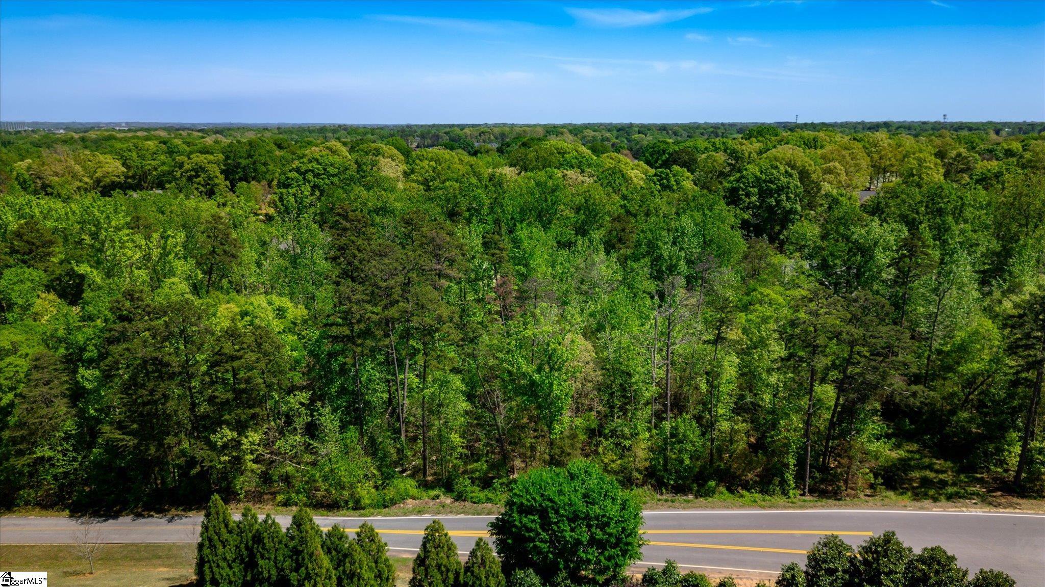 0 Roper Mountain Road, Unit LOT 301 Greenville, SC 29615 - Photo 10 of 12 Gallery Image 10
