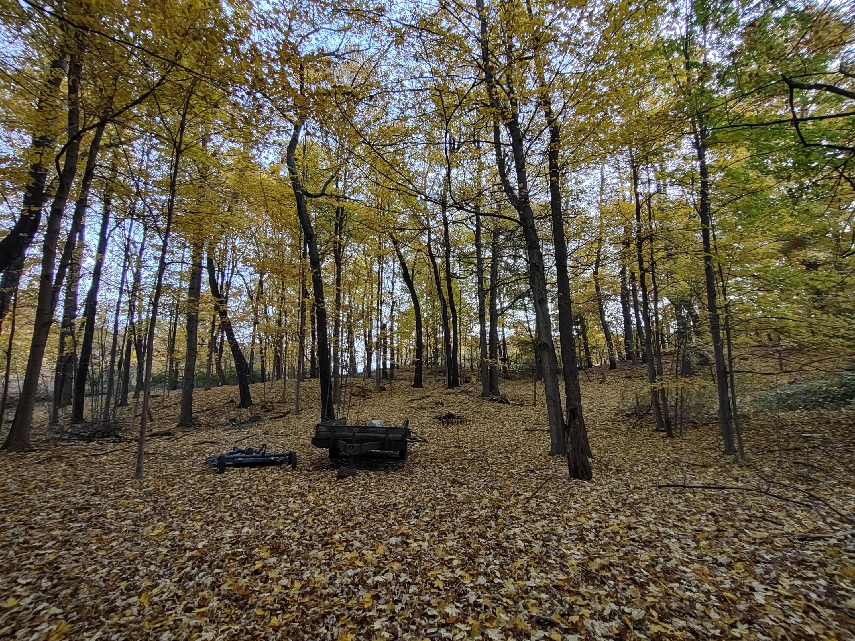 69337 Beebe Road Niles, MI 49120 - Photo 7 of 31 IMG_20211110_162809811_HDR