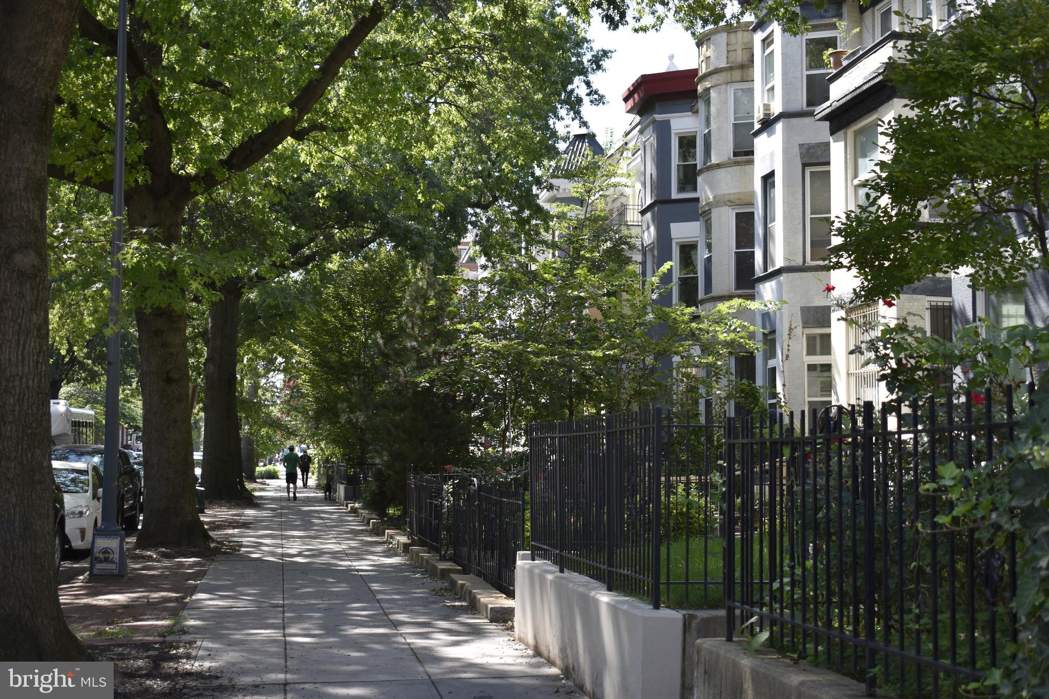 1125 Columbia Road Northwest Washington, DC 20009 - Photo 37 of 47 Beautiful tree lined street