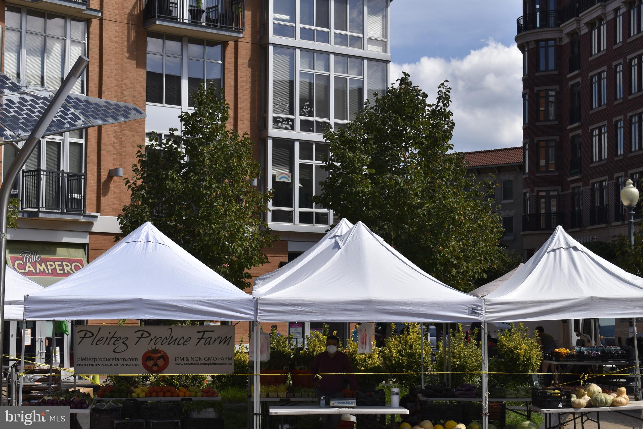 1125 Columbia Road Northwest Washington, DC 20009 - Photo 40 of 47 Farmers Market