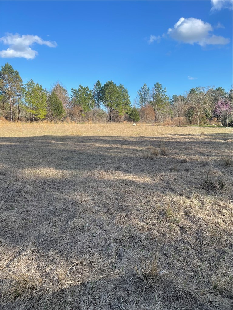 1564 Chapman Plantation Road Jesup, GA 31545 - Photo 2 of 2