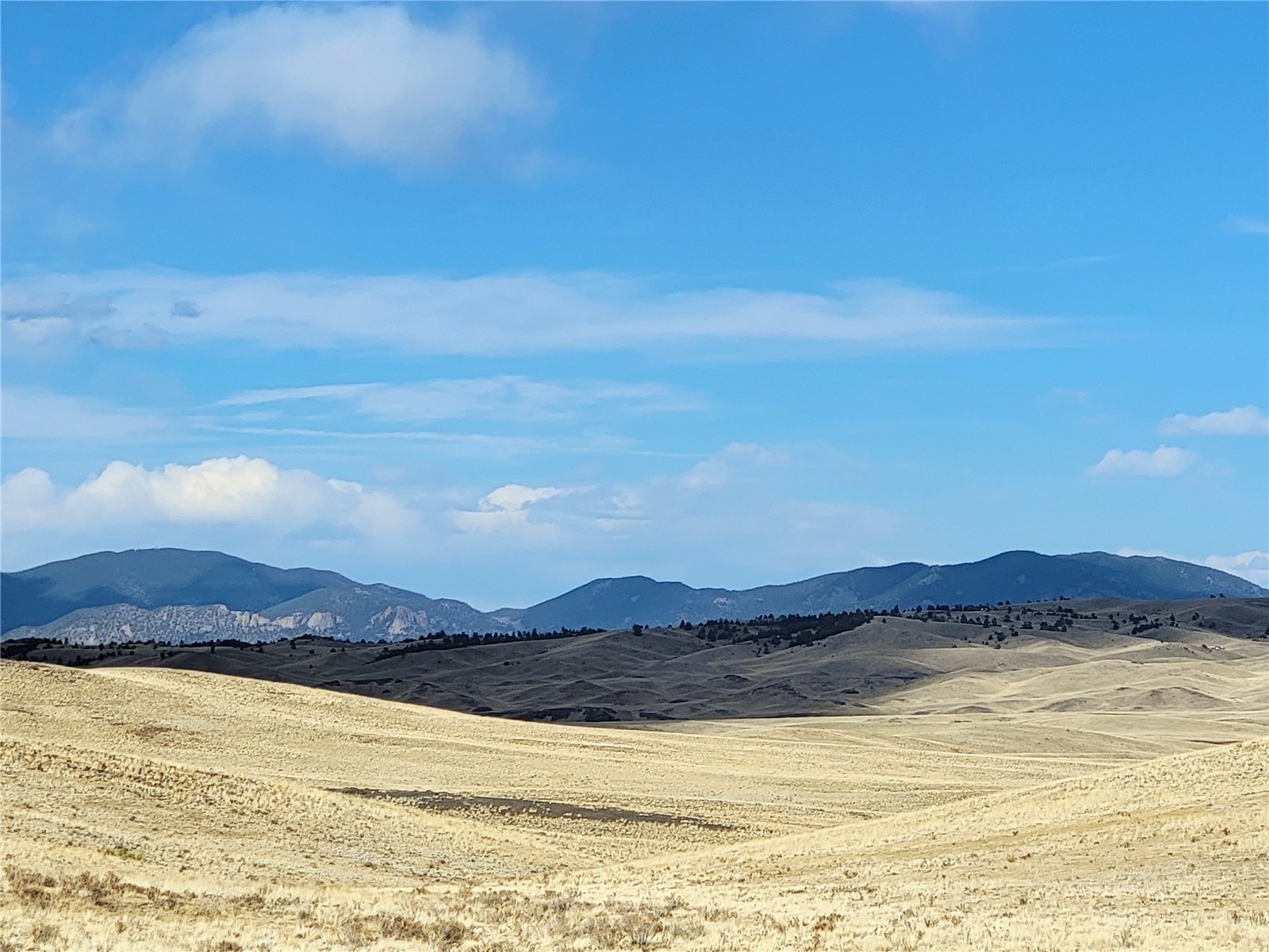 3999 Delaware Road Hartsel, CO 80449 - Photo 4 of 23 View of mountain backdrop