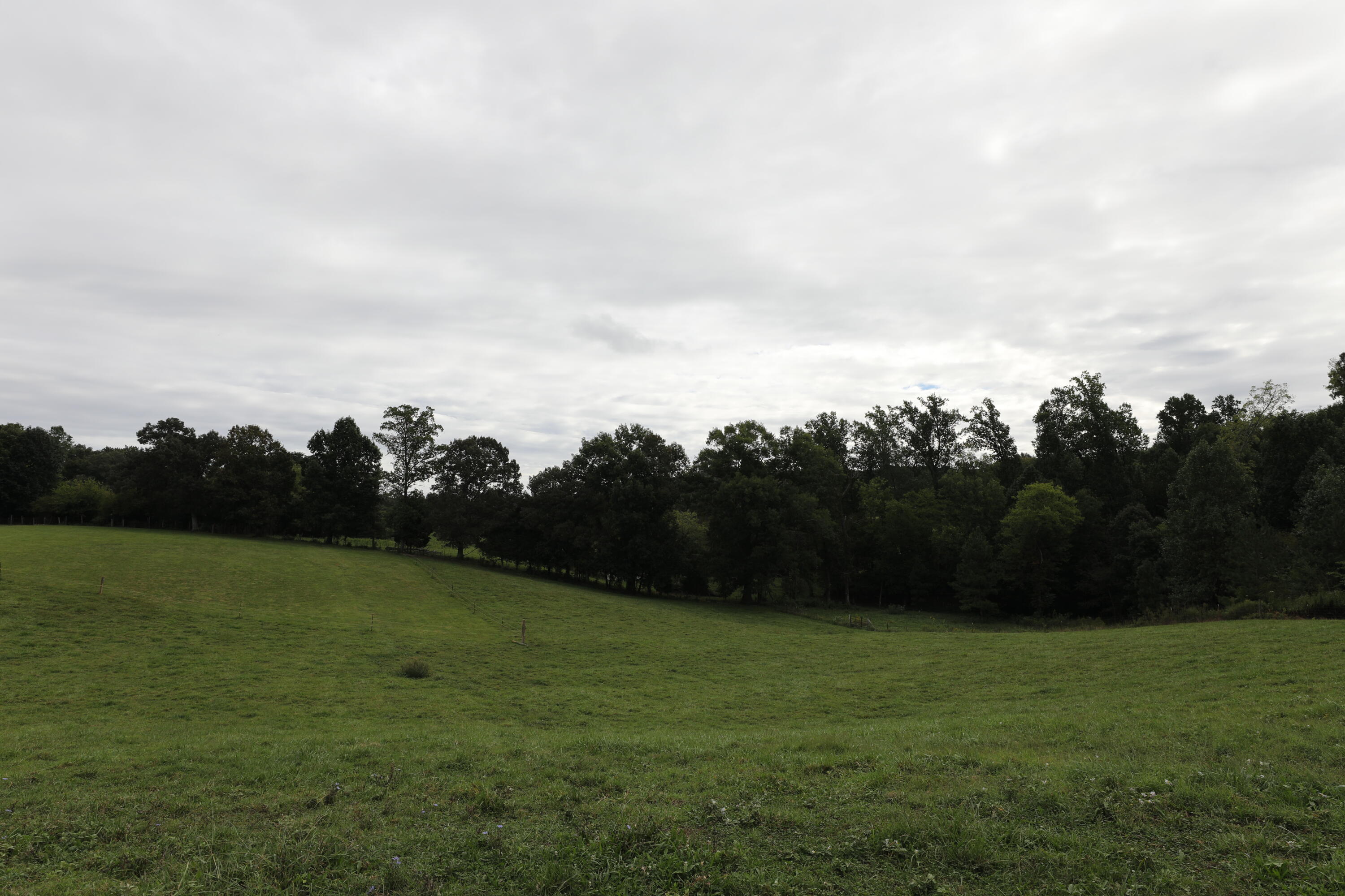 343 Gamble Road Madisonville, TN 37354 - Photo 35 of 37 144A0149_1119