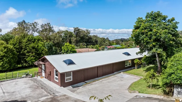a view of a big yard with potted plants