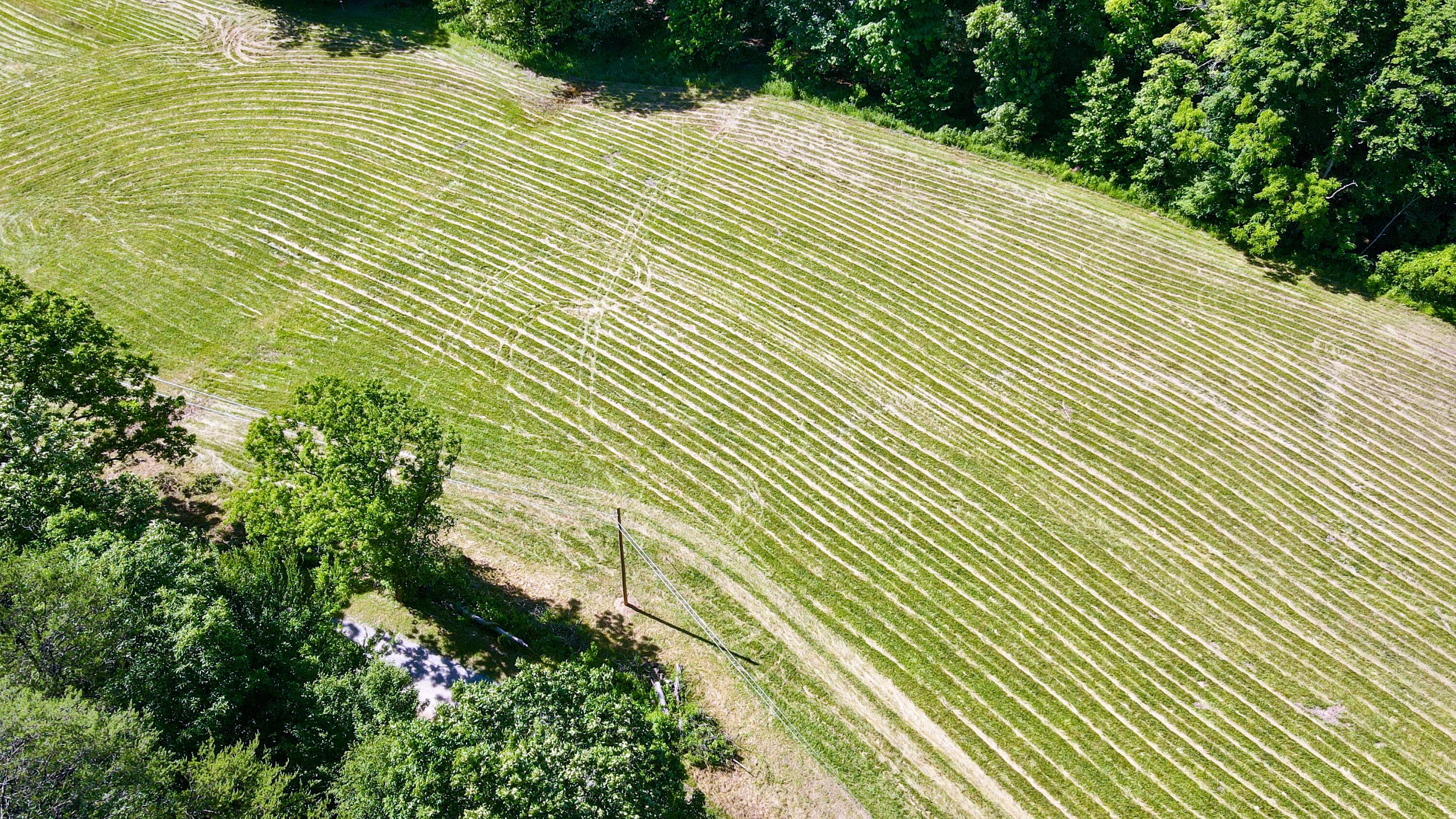 1725 Hull Road, Unit TRACT 4 WOODS WAYNE FOREST) Patriot, OH 45658 - Photo 23 of 45 20240607_142856000_iOS