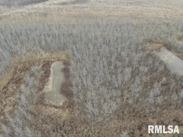 $577,500 | East 1150th Avenue, Palestine, IL 62451