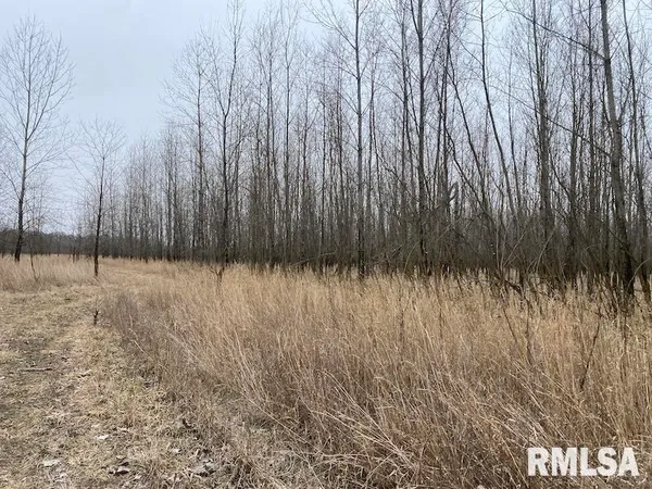 $577,500 | East 1150th Avenue, Palestine, IL 62451