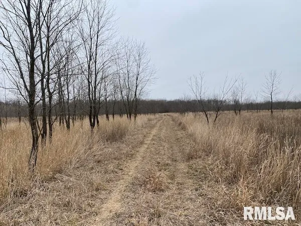 $577,500 | East 1150th Avenue, Palestine, IL 62451