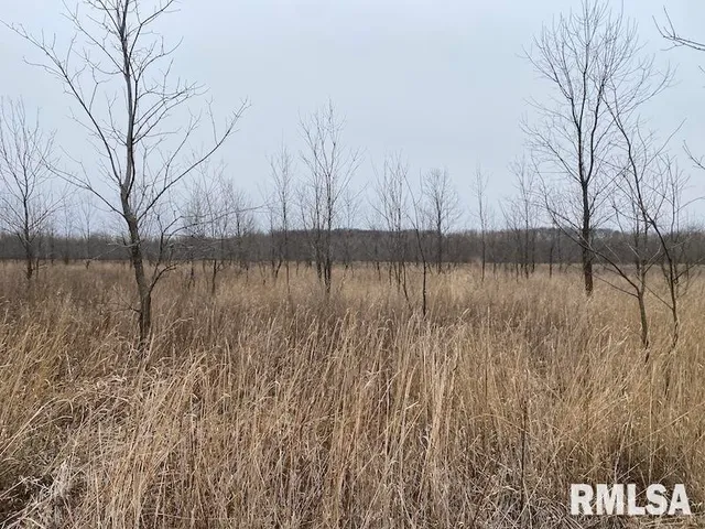 $577,500 | East 1150th Avenue, Palestine, IL 62451