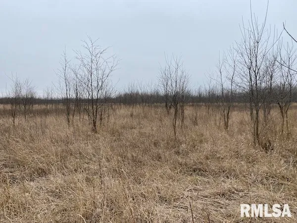 $577,500 | East 1150th Avenue, Palestine, IL 62451