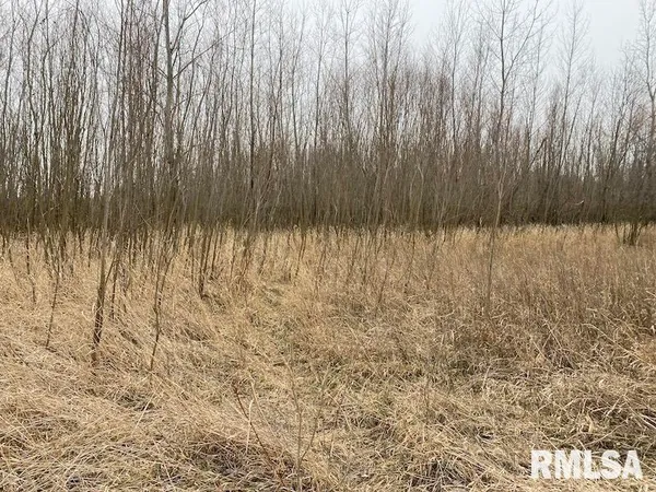 $577,500 | East 1150th Avenue, Palestine, IL 62451