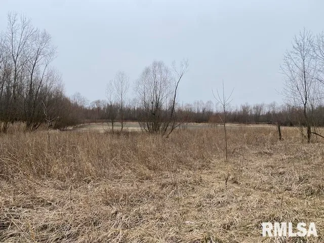 $577,500 | East 1150th Avenue, Palestine, IL 62451