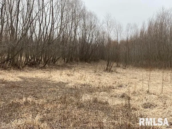 $577,500 | East 1150th Avenue, Palestine, IL 62451