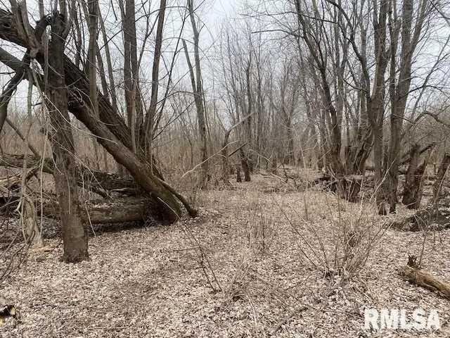 $577,500 | East 1150th Avenue, Palestine, IL 62451