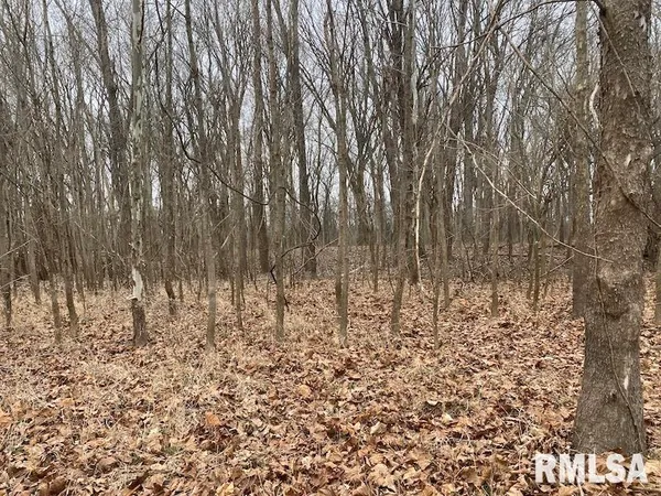 $577,500 | East 1150th Avenue, Palestine, IL 62451