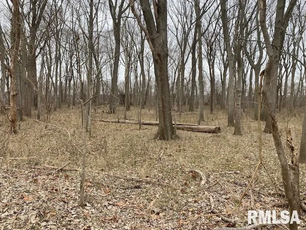 $577,500 | East 1150th Avenue, Palestine, IL 62451