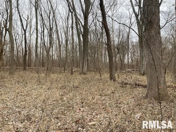 $577,500 | East 1150th Avenue, Palestine, IL 62451