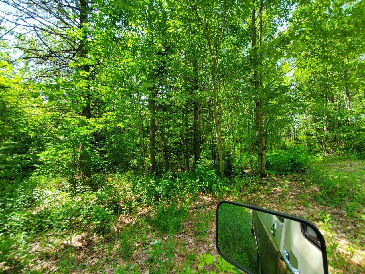 0 Morgan Road Burnham, ME 04922 - Photo 59 of 69 20250617_124607