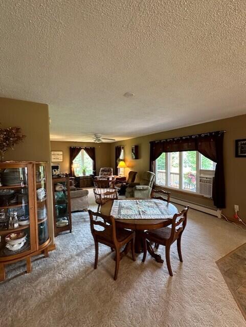 206 Montieth Road Bridgewater, ME 04735 - Photo 27 of 109 thumbnail_IMG_6650