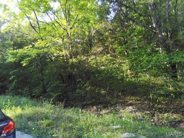 $29,900 | 0 Lot 3-4 Terri Hill Drive, Cedar Hill, MO 63016