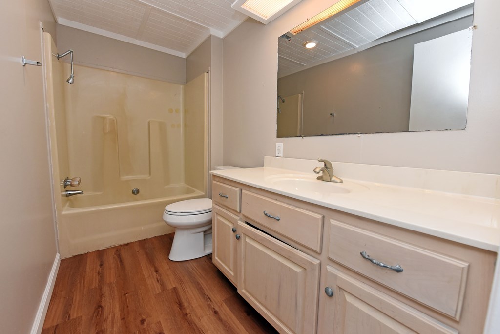 253 Windy Lane Hiawassee, GA 30546 - Photo 33 of 65 a bathroom with a sink a toilet and a large mirror