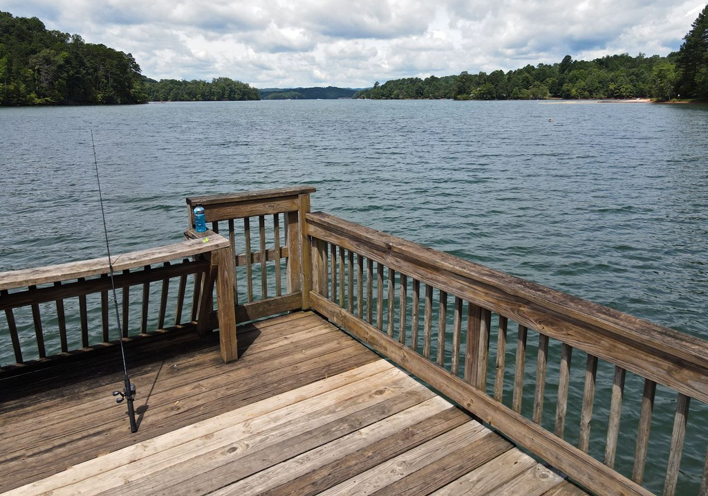 253 Windy Lane Hiawassee, GA 30546 - Photo 50 of 65