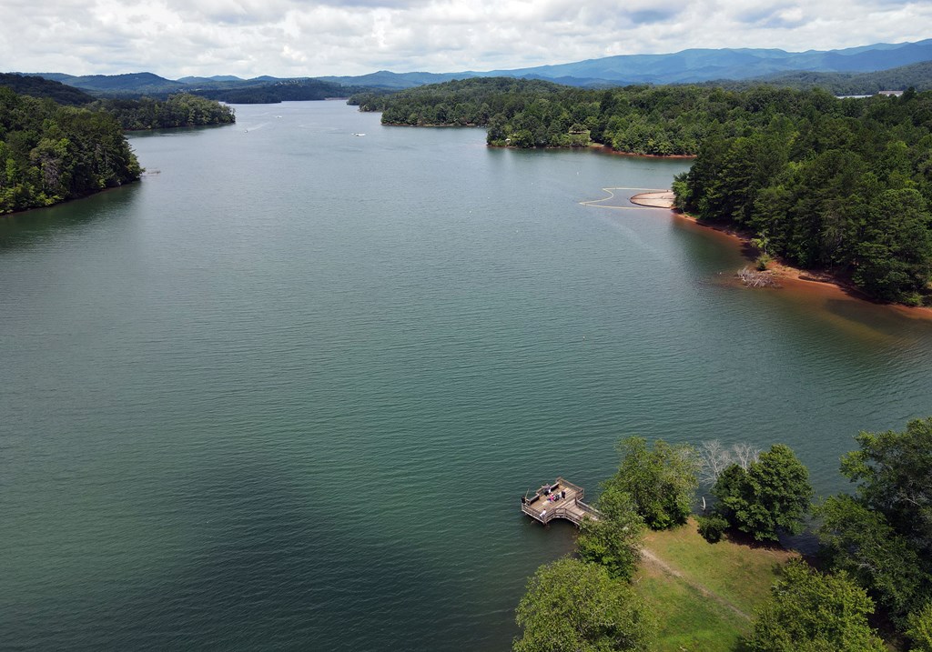 253 Windy Lane Hiawassee, GA 30546 - Photo 52 of 65 a view of a lake with outdoor space