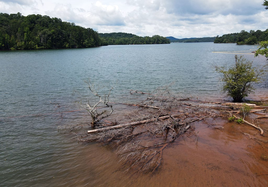 253 Windy Lane Hiawassee, GA 30546 - Photo 57 of 65