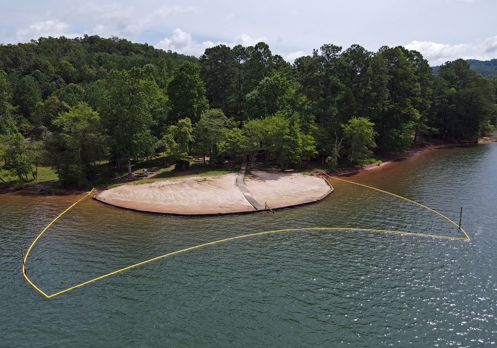 253 Windy Lane Hiawassee, GA 30546 - Photo 60 of 65 an aerial view of a house with a yard