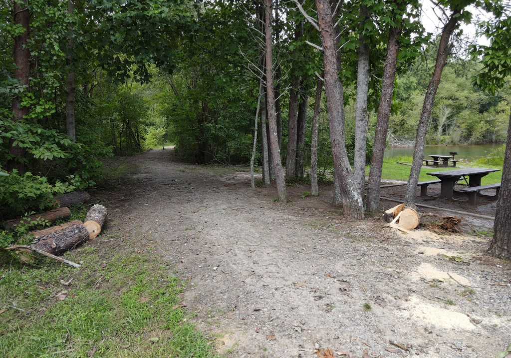 253 Windy Lane Hiawassee, GA 30546 - Photo 64 of 65 a backyard of a house with lots of green space