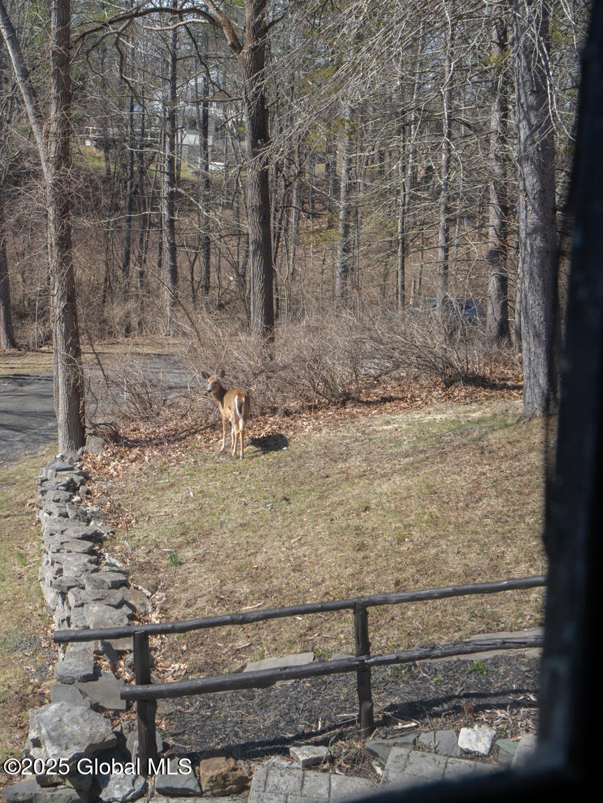 22 Upper Font Grove Road New Scotland, NY 12159 - Photo 24 of 27 DSC05847
