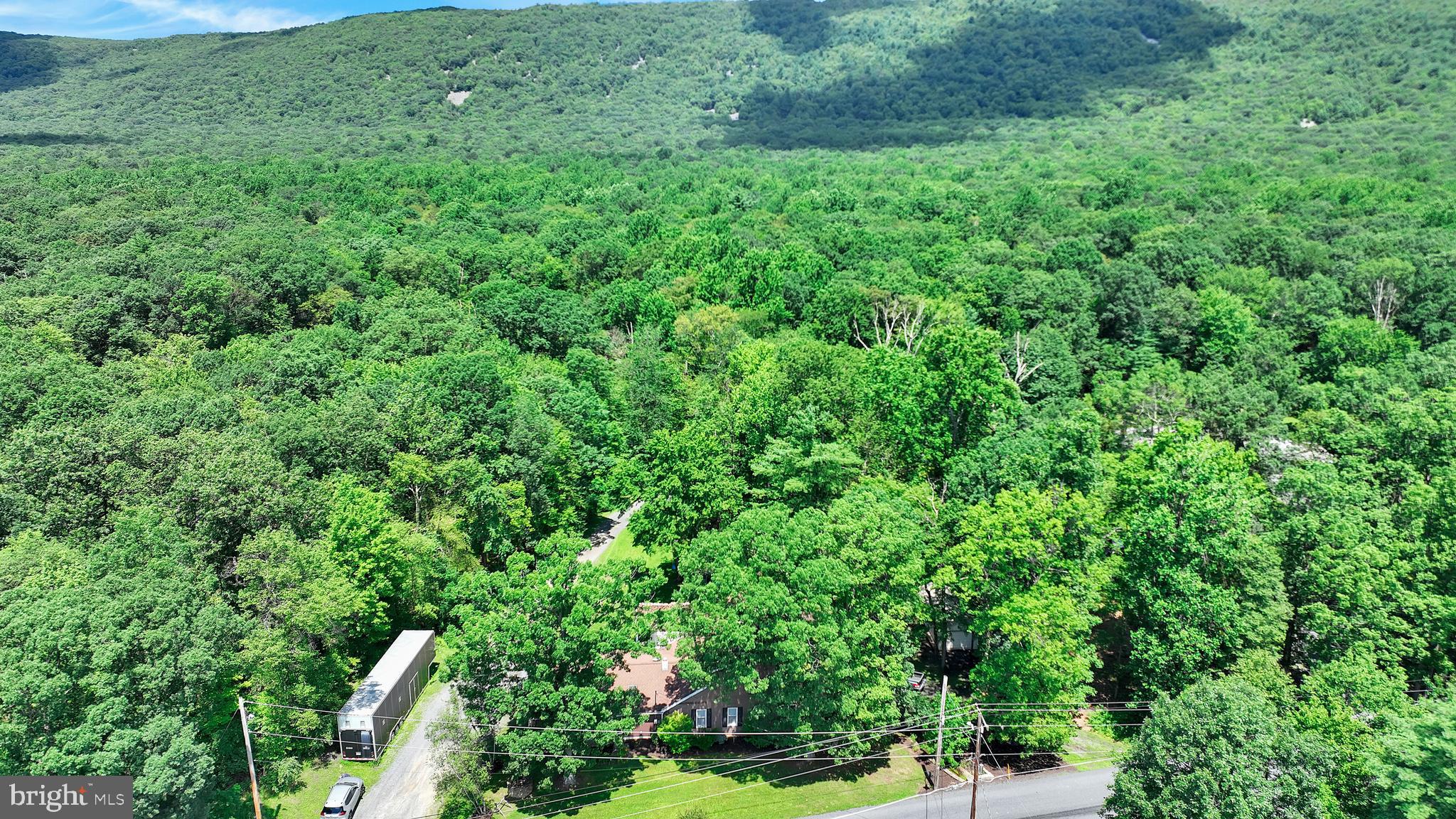 3511 Mountain Road Slatington, PA 18080 - Photo 2 of 27 a view of a lush green forest with lawn chairs and plants