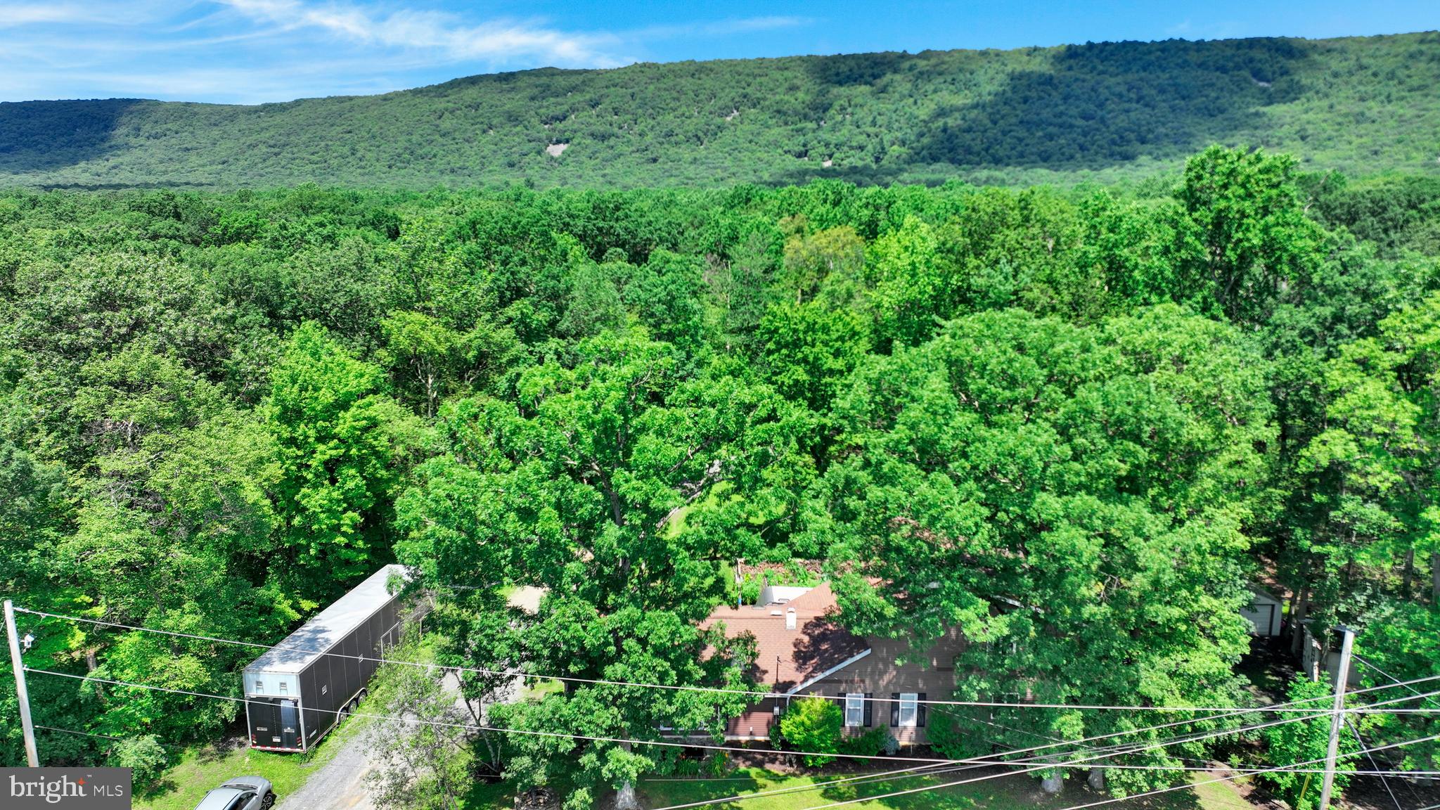 3511 Mountain Road Slatington, PA 18080 - Photo 3 of 27 a view of a lush green forest with lots of trees
