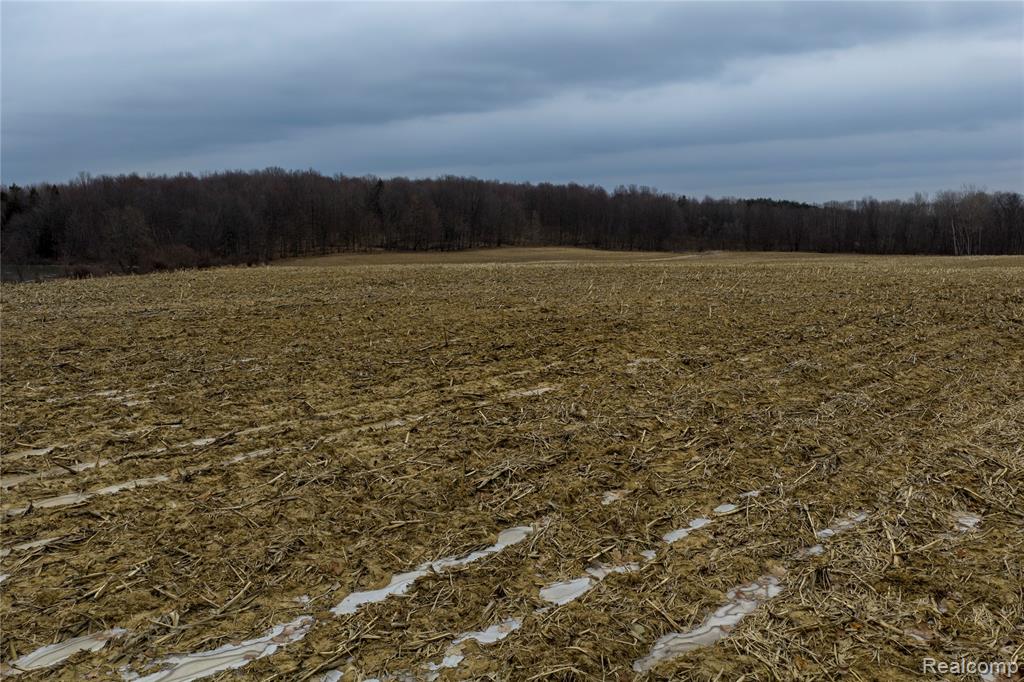 0 Shay Lake Road Kingston, MI 48744 - Photo 14 of 21 Gallery Image 14