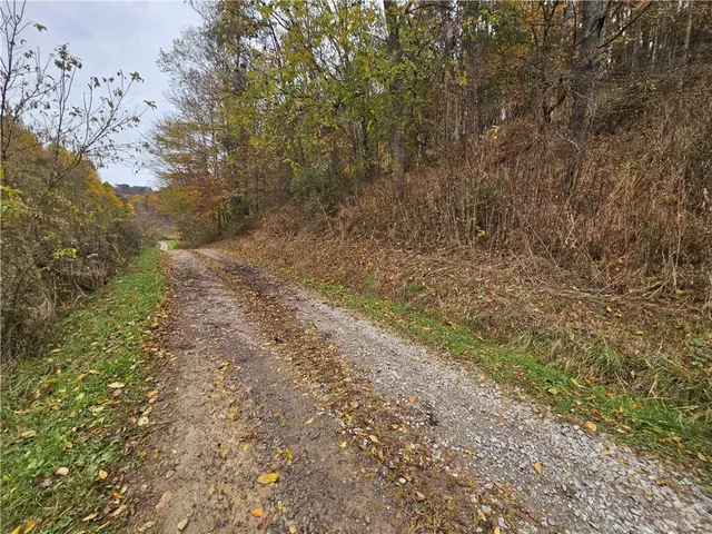 a view of a yard with trees in the background